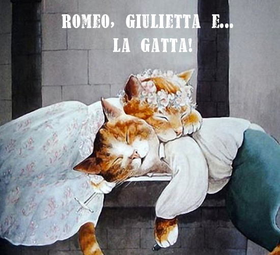 ROMEO,GIULIETTA E.. IL GATTO!